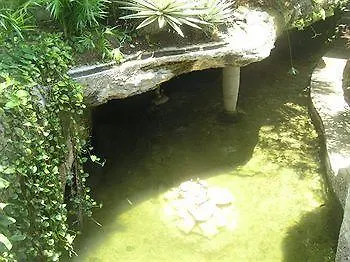 Tropical Casa Blanca Youth & Chic Hotel Playa del Carmen